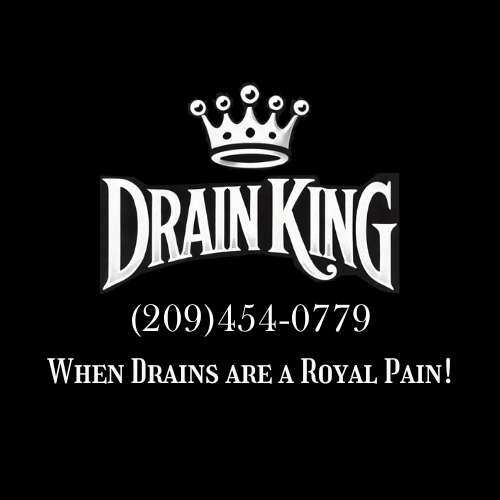 Drain King Logo